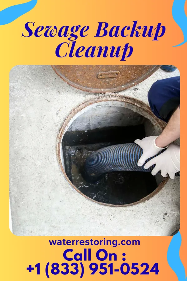 Sewage Backup Cleanup in Oto, IA